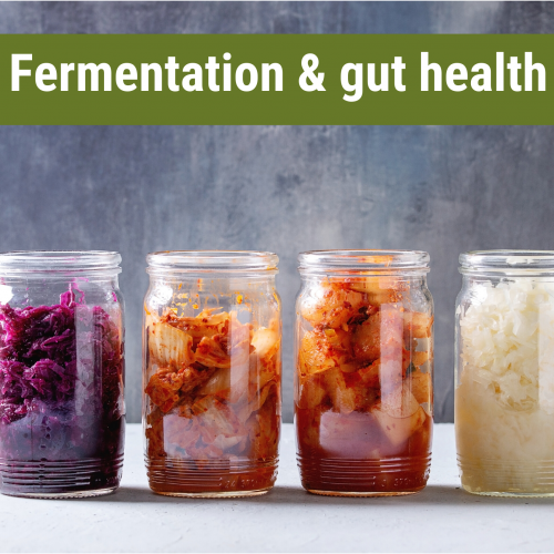 Fermentation & gut health (1)